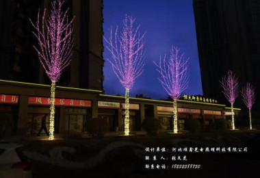 天津宝坻恒大御景半岛节日亮化工程