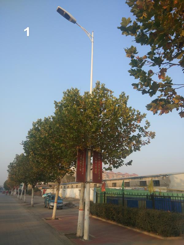 河北省霸州市市政道路照明工程实景图1